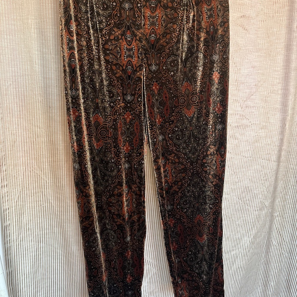 Velvet Paisley Print Pants